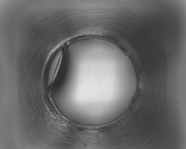 X0000085000388200704021339