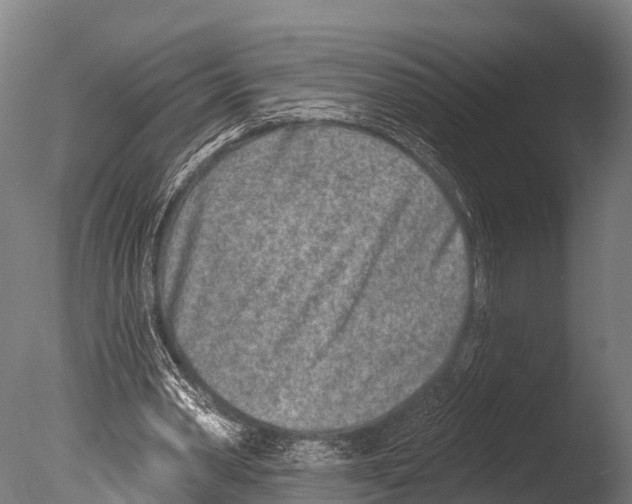 X0000085000390200704021339