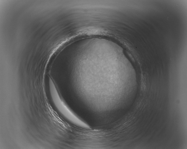 X0000085000391200704021339