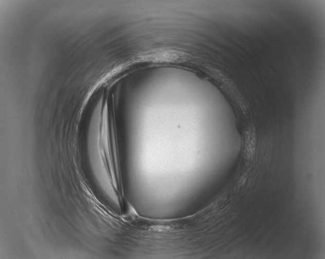 X0000085000392200704021339