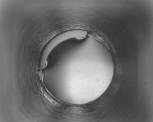 X0000085000393200704021339