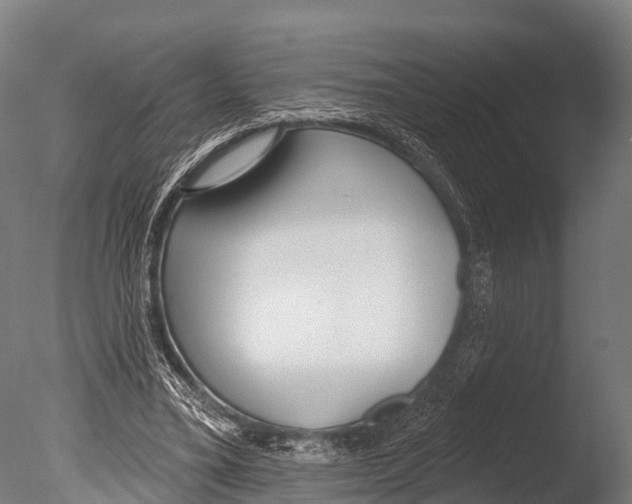 X0000085000395200704021339