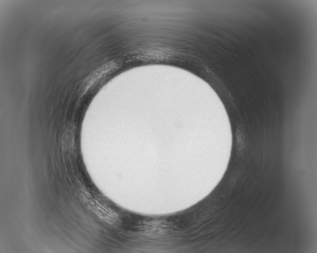 X0000085000396200704021339