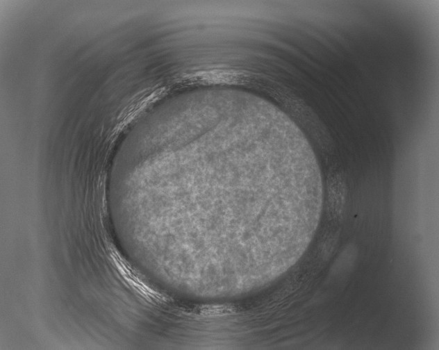 X0000085000398200704021339