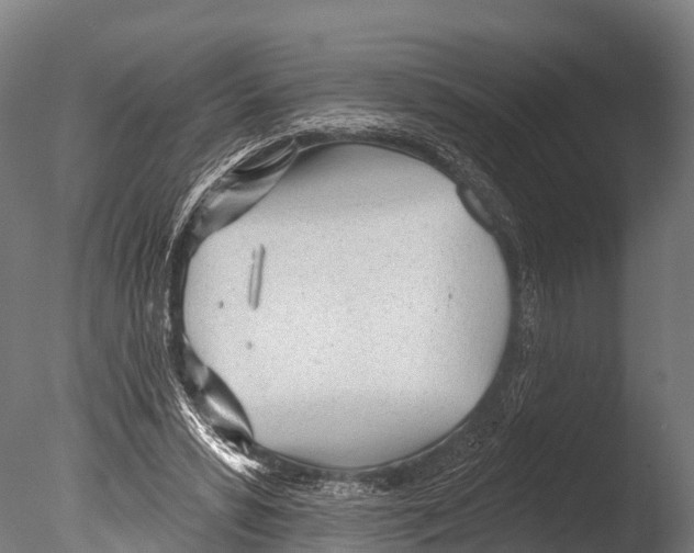 X0000085000399200704021339