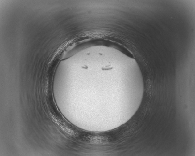 X0000085000400200704021339