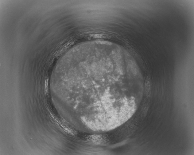 X0000085000406200704021339