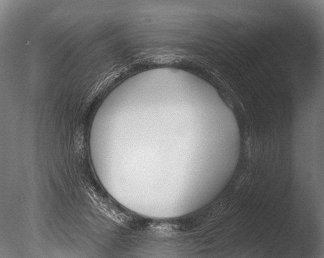 X0000085000407200704021339