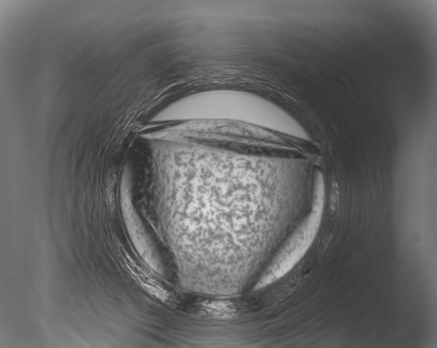 X0000085000409200704021339