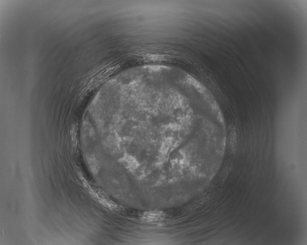 X0000085000410200704021339