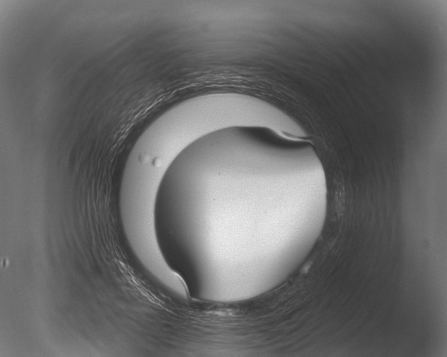 X0000085000411200704021339