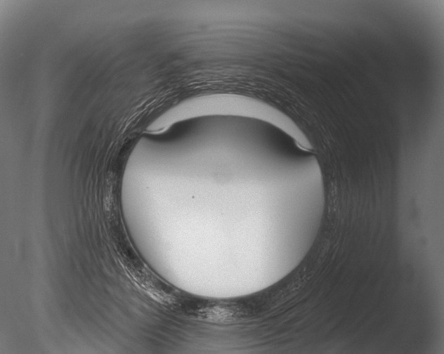 X0000085000412200704021339