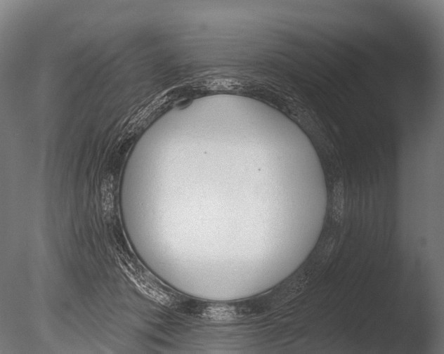 X0000085000413200704021339