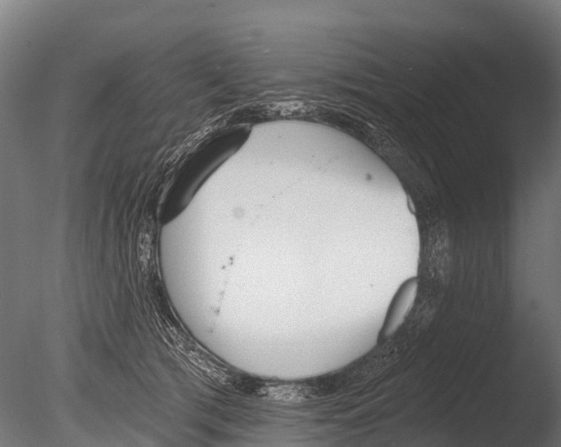 X0000085000417200704021339