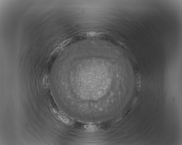 X0000085000419200704021339