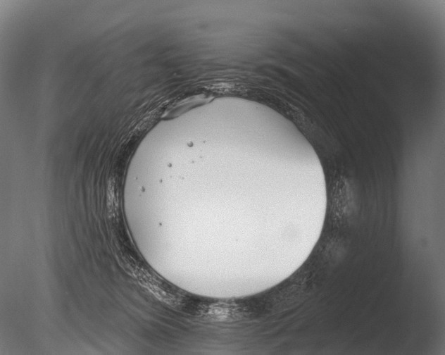 X0000085000420200704021339