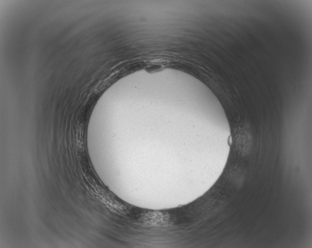 X0000085000421200704021339