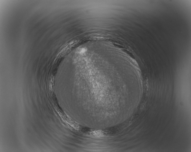 X0000085000423200704021339