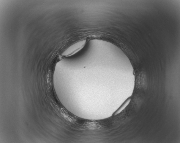 X0000085000424200704021339