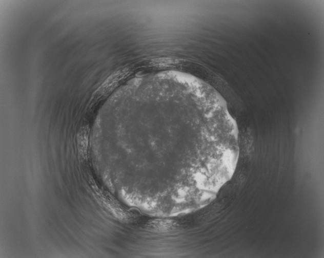 X0000085000427200704021339