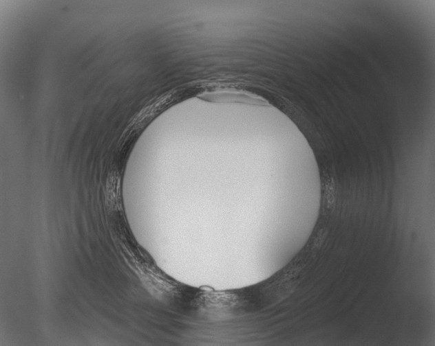 X0000085000429200704021338