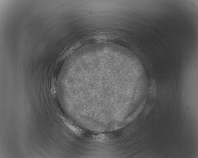 X0000085000430200704021338