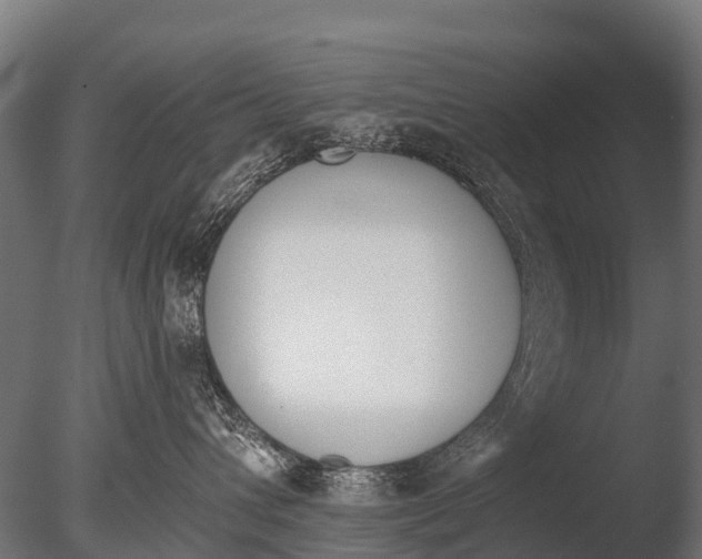 X0000085000432200704021338