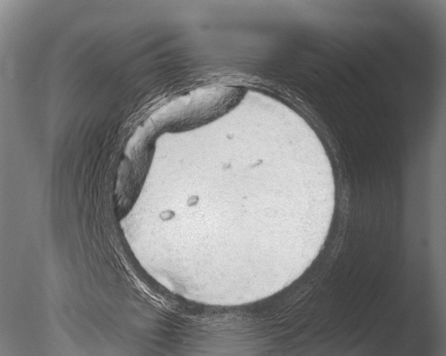 X0000085000433200704021338