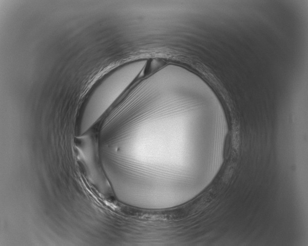 X0000085000434200704021338