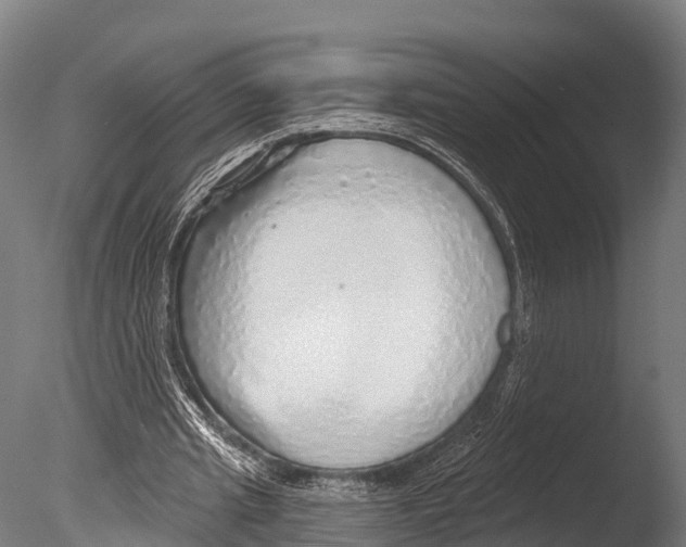 X0000085000437200704021338