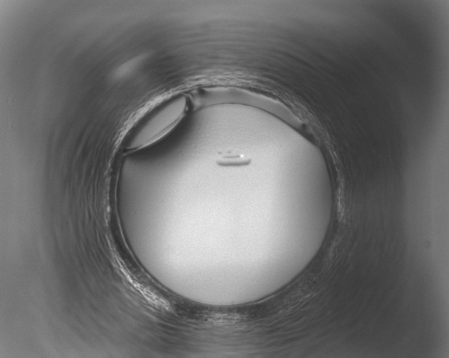 X0000085000438200704021338