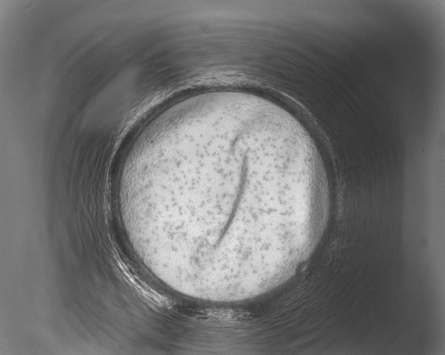 X0000085000439200704021338