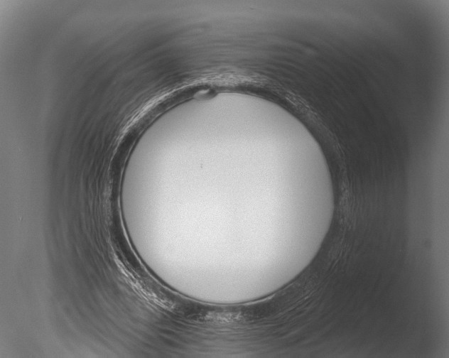 X0000085000440200704021338