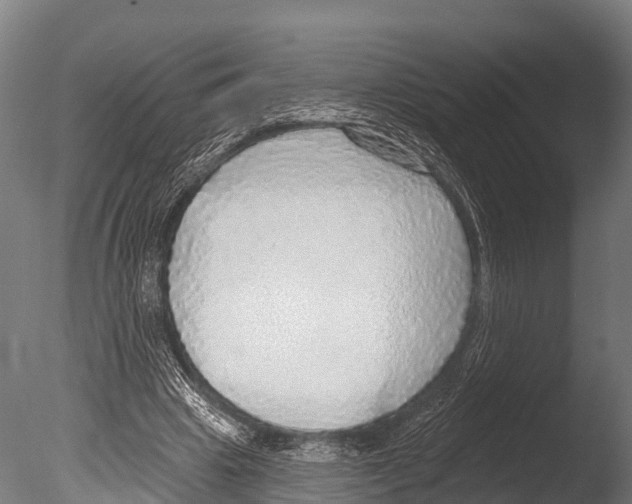 X0000085000441200704021338