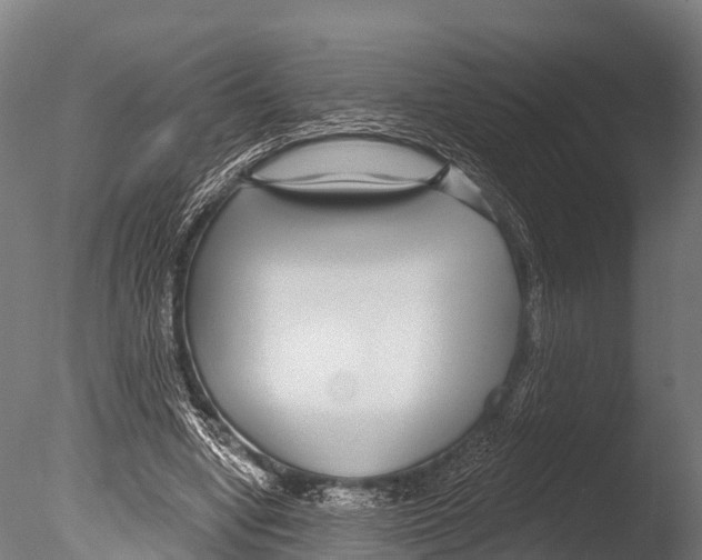 X0000085000442200704021338