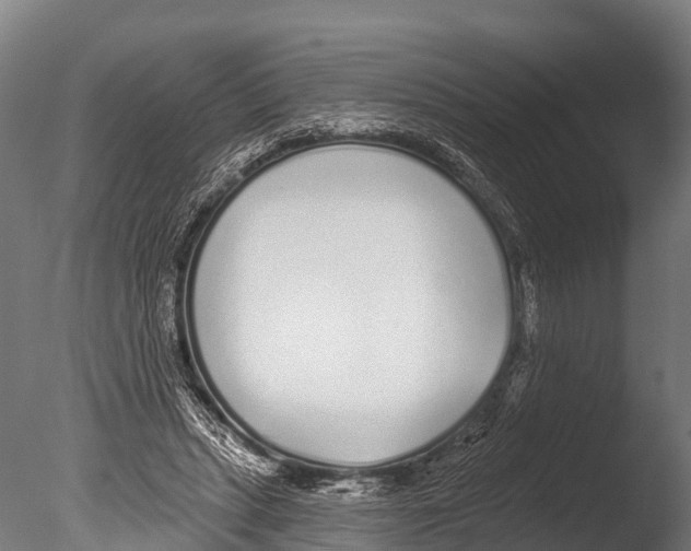 X0000085000447200704021338