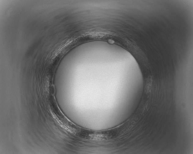 X0000085000448200704021338