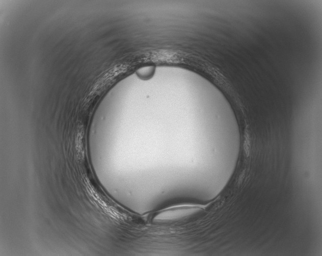 X0000085000449200704021338