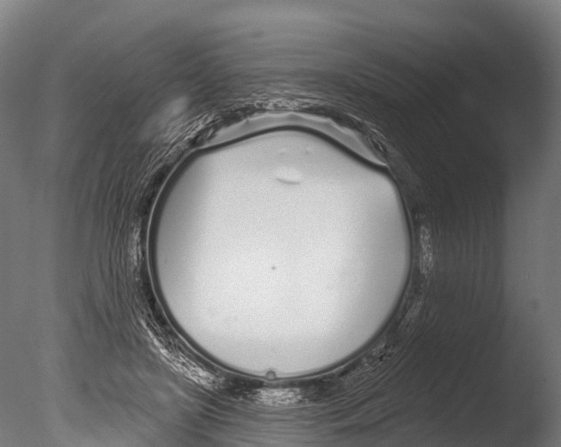 X0000085000451200704021338