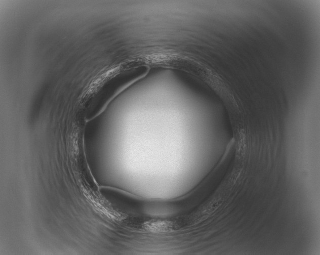 X0000085000452200704021338