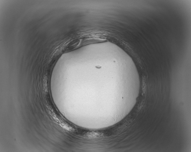 X0000085000453200704021338