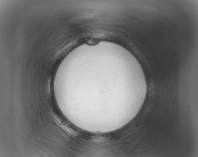 X0000085000454200704021338