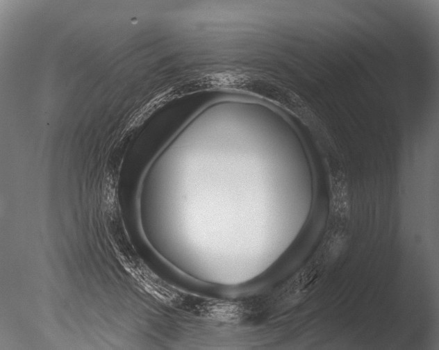 X0000085000456200704021338