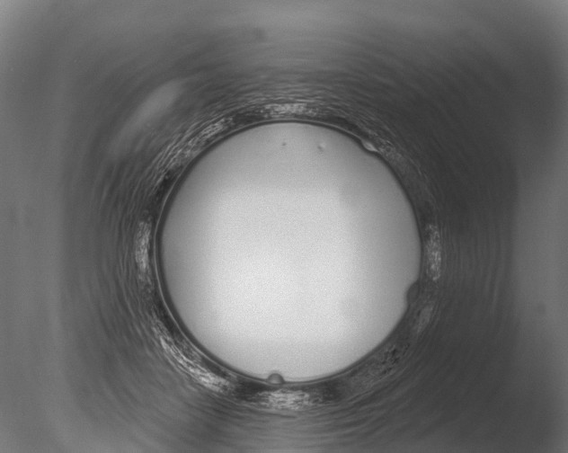 X0000085000458200704021338