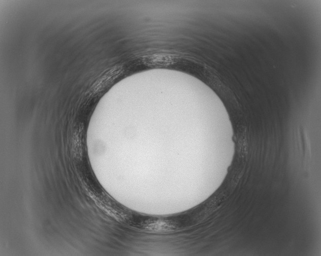 X0000085000460200704021338