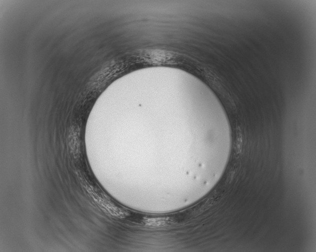 X0000085000461200704021338