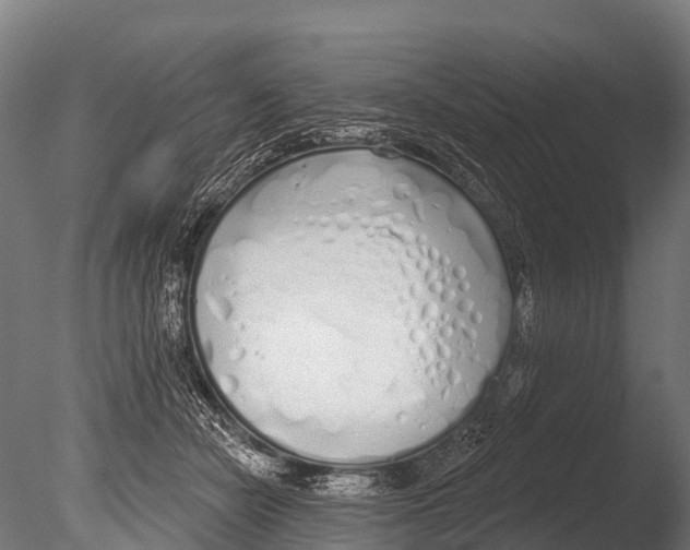 X0000085000462200704021338