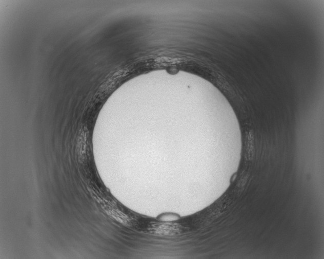 X0000085000463200704021338