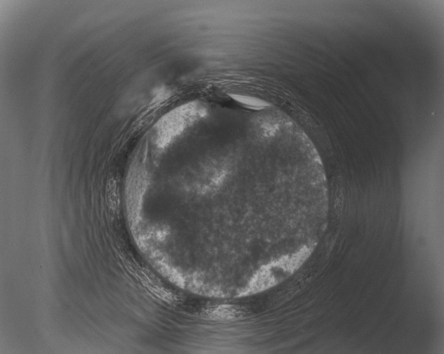 X0000085000467200704021338