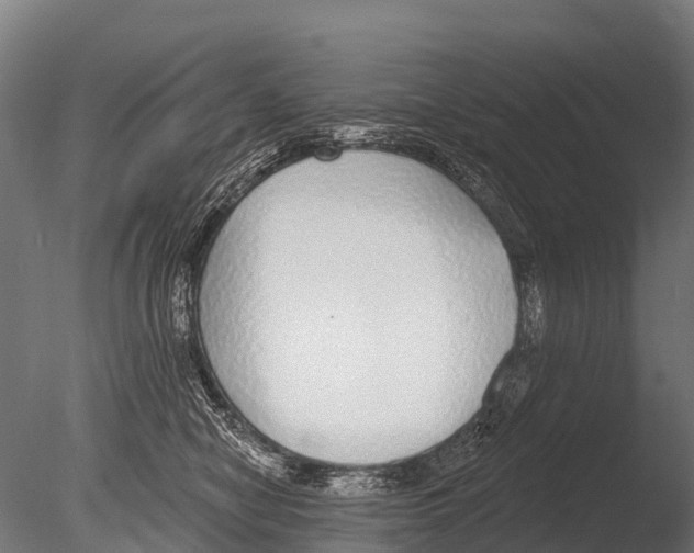 X0000085000470200704021338